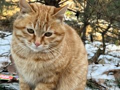 -终南山南五台景区