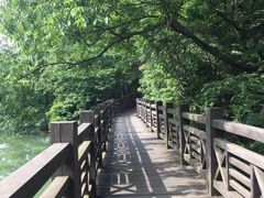 -白马涧龙池景区