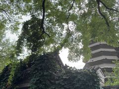 -正阳书局(西四南大街店)