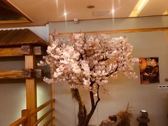 -鲁山人日本料理·放题·套餐(松卫北路店)