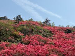 -木兰云雾山