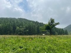 -驼梁风景区