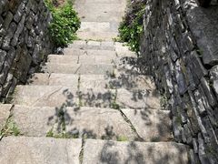 -杏花村文化旅游区