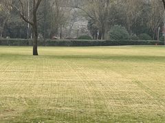 -思念果岭悦温泉