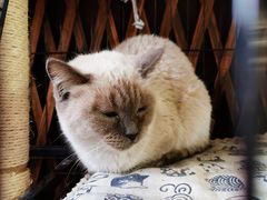 -苏州人家(锦溪镇店)