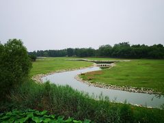 -北京麋鹿生态实验中心