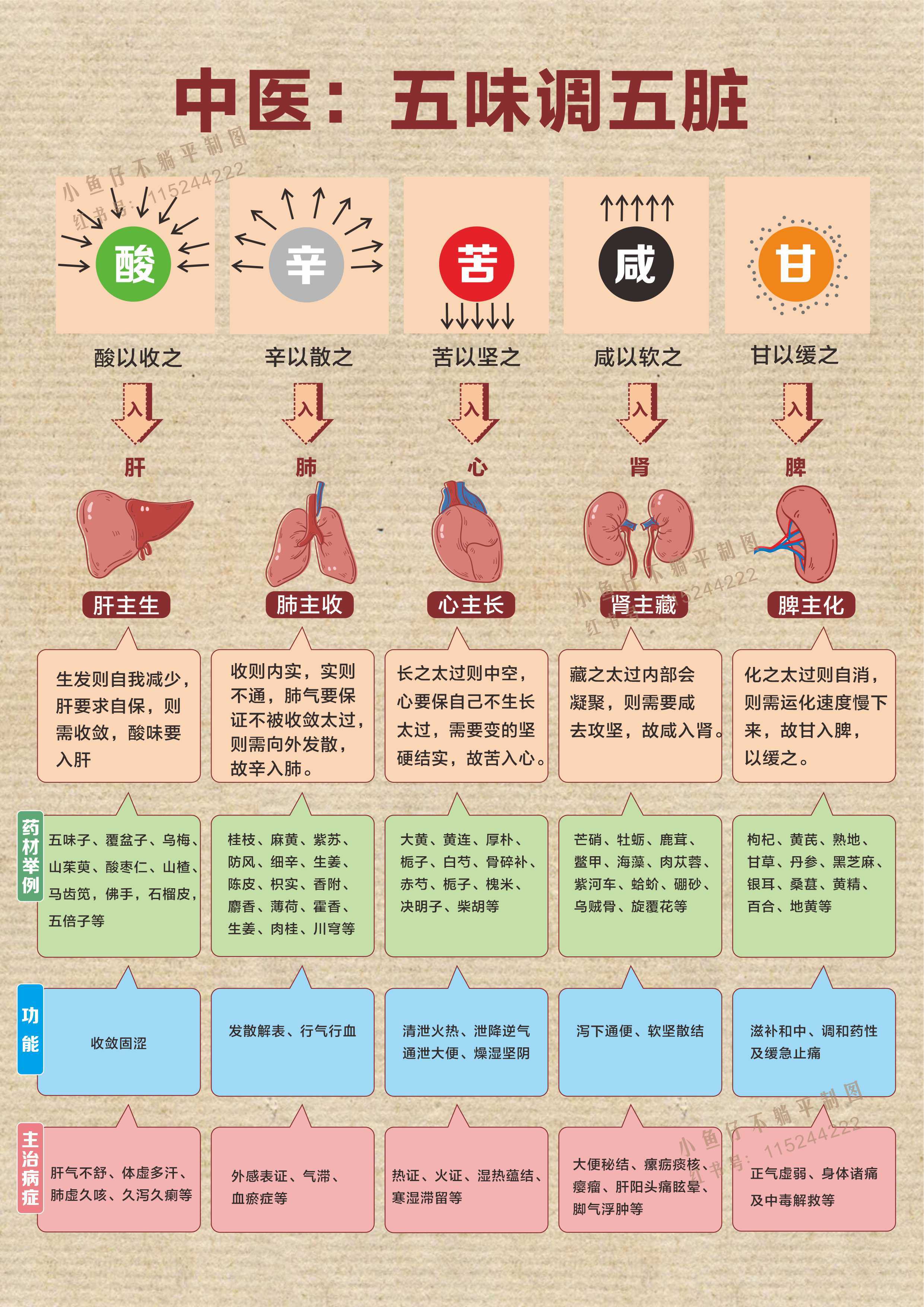 每日养生小知识配图图片