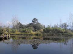 -西昌邛海湿地