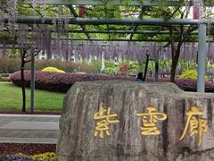 -嘉定紫藤园