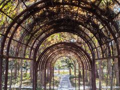 -国家植物园南园