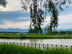 -野鸭湖国家湿地公园