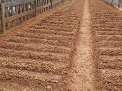 -陶祖圣境风景区