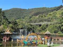 -西双版纳原始森林公园
