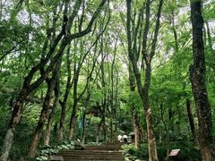 -宁波市保国寺古建筑博物馆