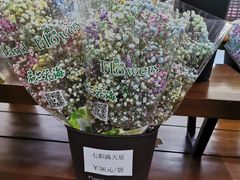 -荷兰花海