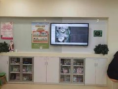 -小问号·科学启蒙·逻辑思维·阅读素养·口才演讲(杨浦合生汇中心)