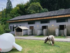 -宁海安岚·南溪阁全日餐厅