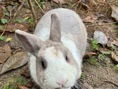 -森波拉奇妙世界