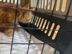 -联合动物医院(光谷诊疗中心)