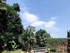 -水濂山森林公园