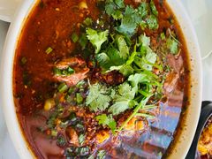 -陈麻婆豆腐总店