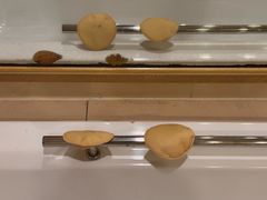 -重庆长寿碧桂园凤悦凤凰酒店