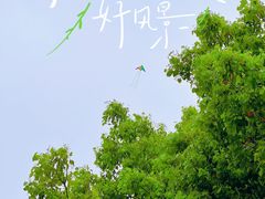 -上海滨江森林公园