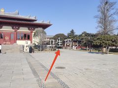 -洛阳古墓博物馆