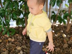 -蒙蒙狮蒙台梭利儿童之家