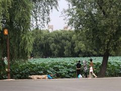 -长春市南湖公园