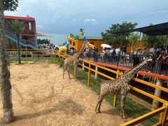 -西霞口神雕山野生动物世界