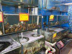 水产区-蚝专家(北滘店)