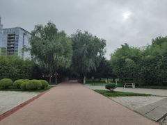 -唐城墙遗址公园