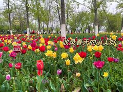 -济南植物园