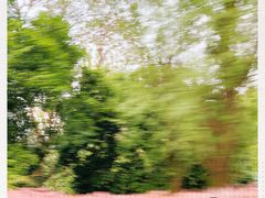 -韶山毛泽东同志故居