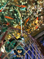 -酷嗒动物文化乐园(cutezoo西溪乐天城店)