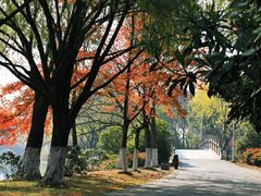 -石湖景区
