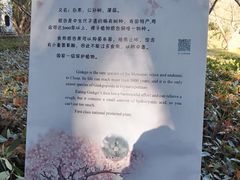 -同里国家湿地公园