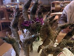 深水虾-尚海豆捞(乐虹坊店)