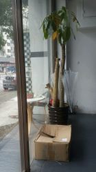 -发饰美男士增发补发假发定制店