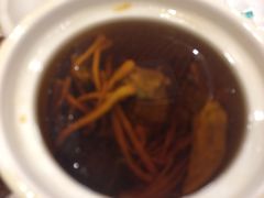 -南粤光明乳鸽(金钟店)