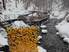 -峡谷浮石林景区