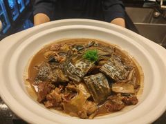 -福玺荟(外滩罗斯福店)