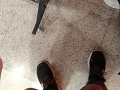 -芸山季·云南山珍菌火锅(人民广场来福士店)