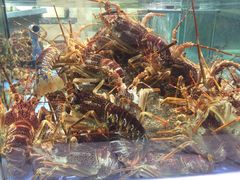 -旺顺阁海鲜广场(亚运村店)