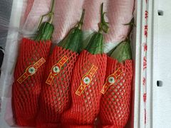 -西郊国际农产品交易中心