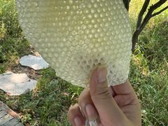 -阳澄湖费尔蒙酒店