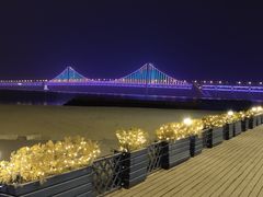 -星海湾跨海大桥