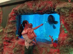 -沈阳海洋探索中心