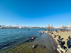 -台场海滨公园船码头